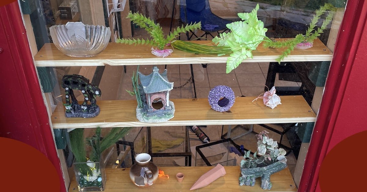 Fish Tank Accessories