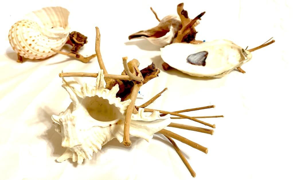 Fish Accessories Shop