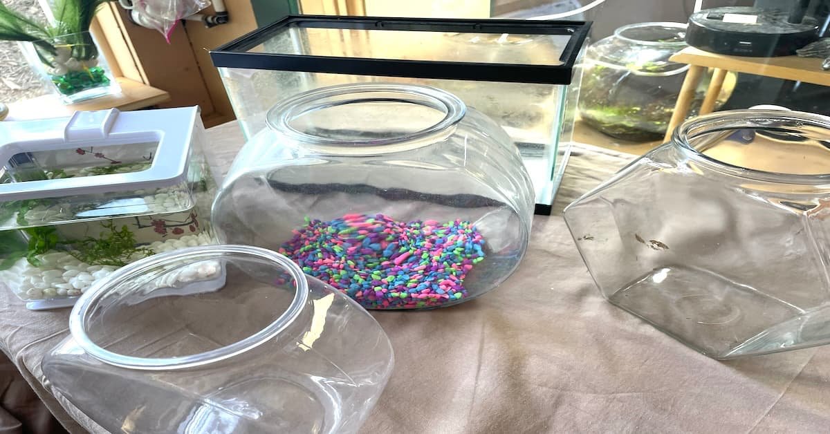 Fish Bowl Starter Kits