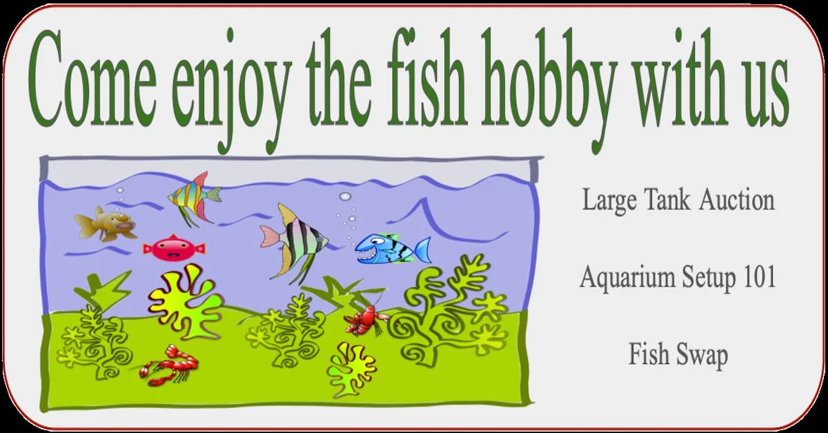 September 2024 Fish Event