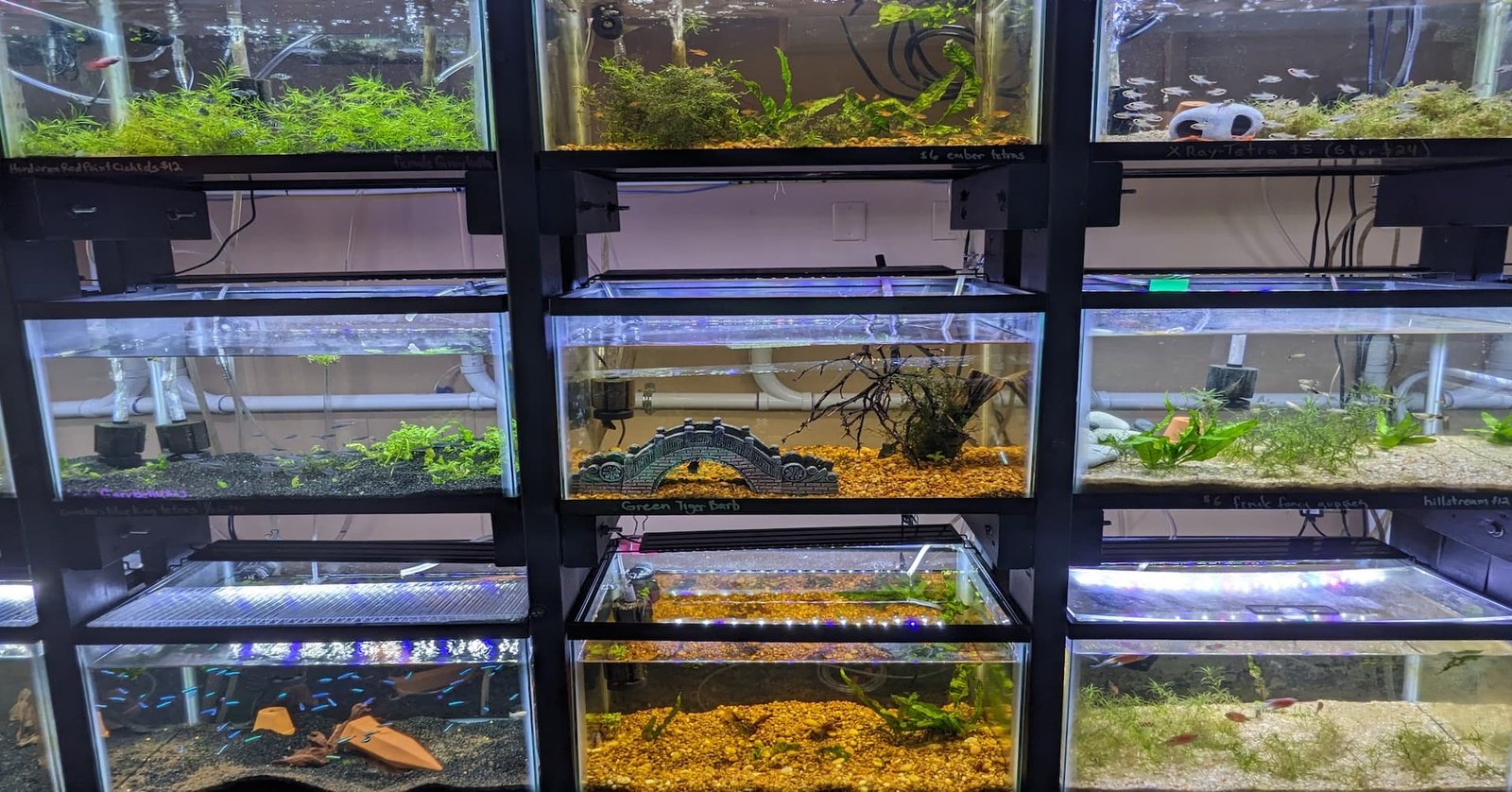 Fish Event In VA Dec. ’24