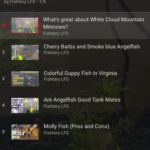 Fishtery LFS video playlist of fish in the store