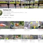 Fishtery LFS Youtube channel