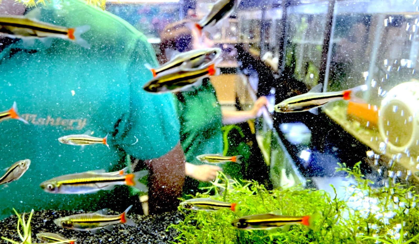 It’s a Local Relaunch